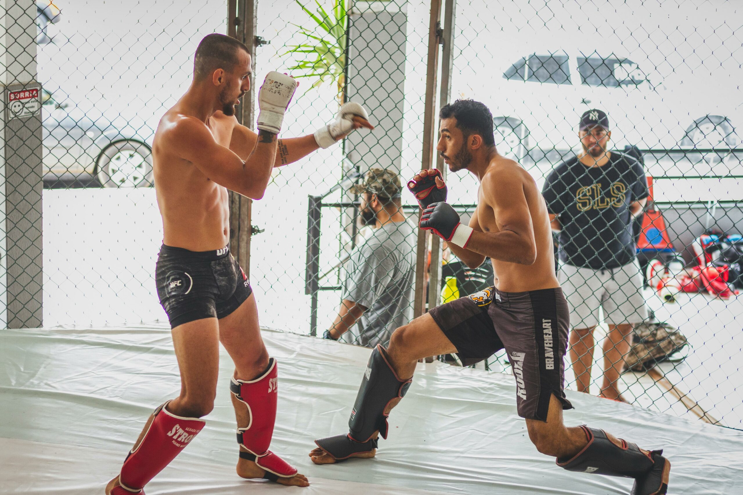 “Beginner’s Guide to Muay Thai and Kickboxing: Everything You Need to Know”